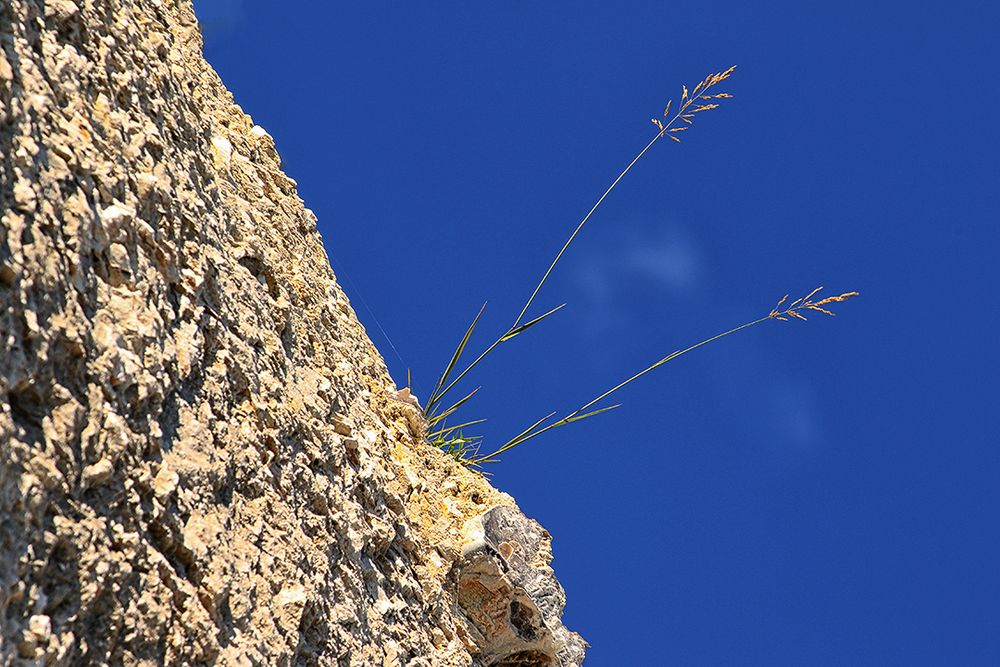 Nackt im Wind