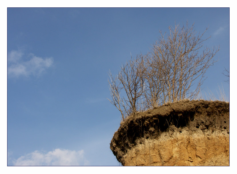 Nackt im Wind