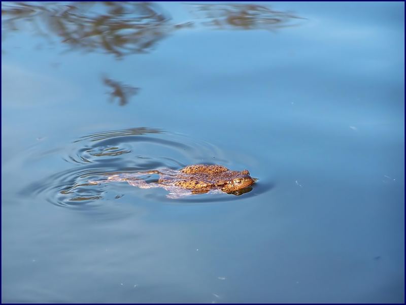 Nacktbaden erlaubt!