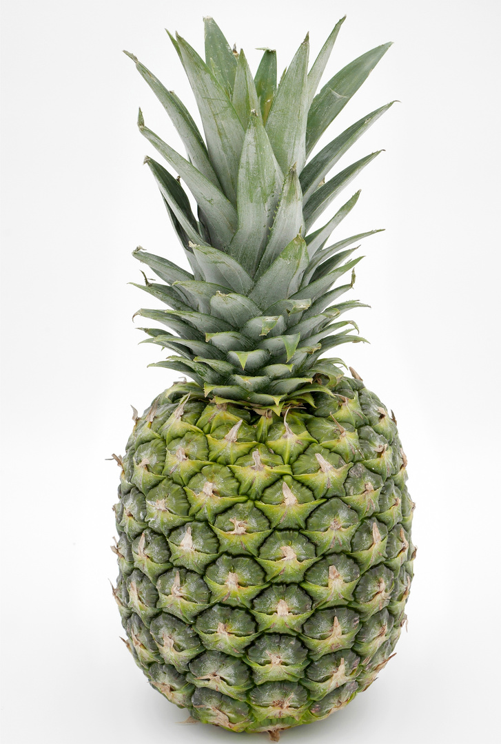 Nackte Ananas