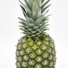 Nackte Ananas