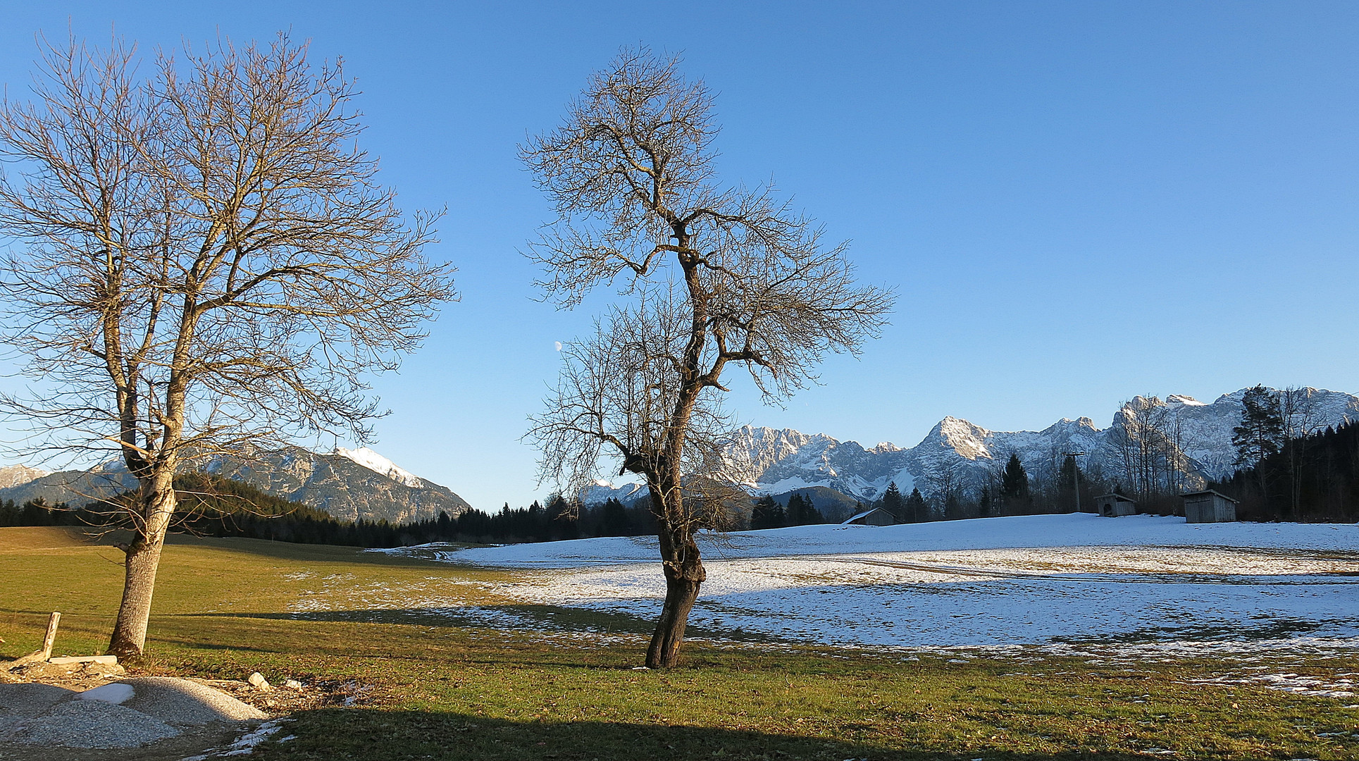 nackte schönheit