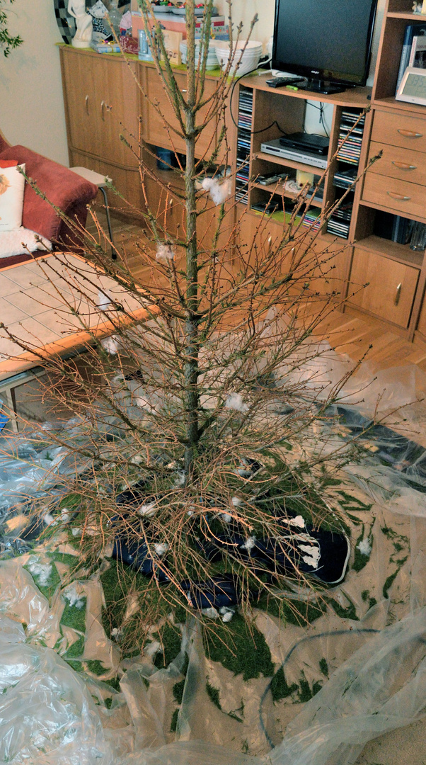 nackter Weihnachtsbaum