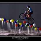 nadelmountainbike