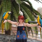 User Profile Photo