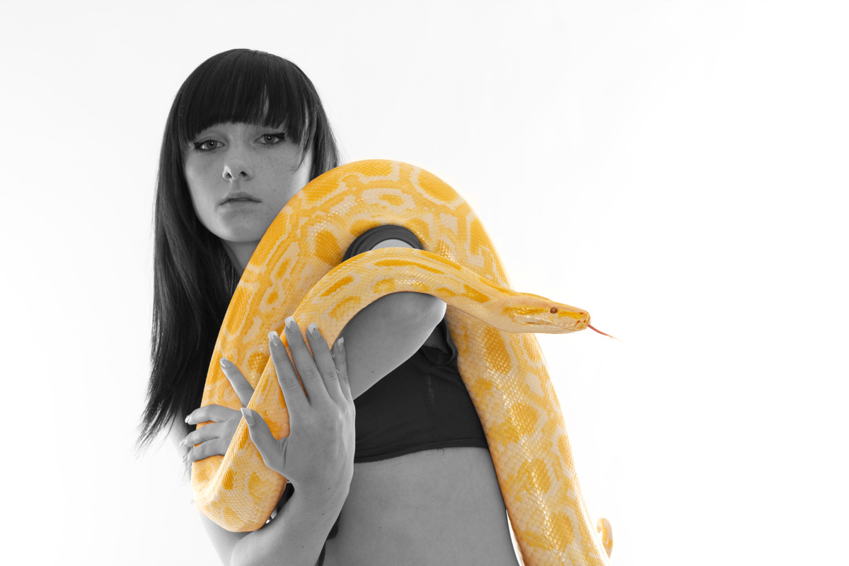 Nadine mit Python