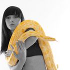 Nadine mit Python