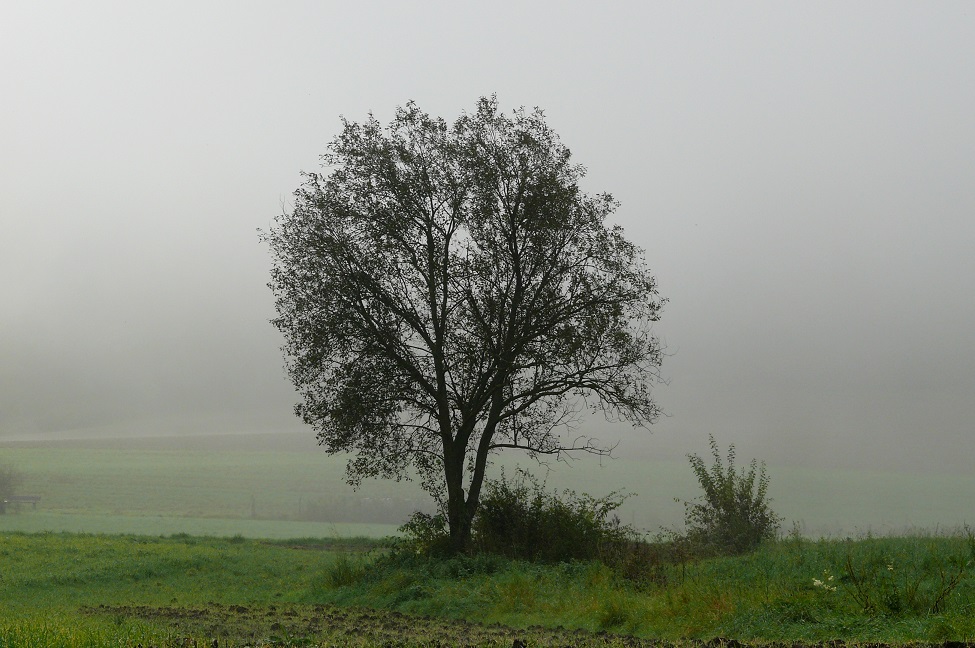 "Nä, wat is dat Wetter hück widder usselisch" ...