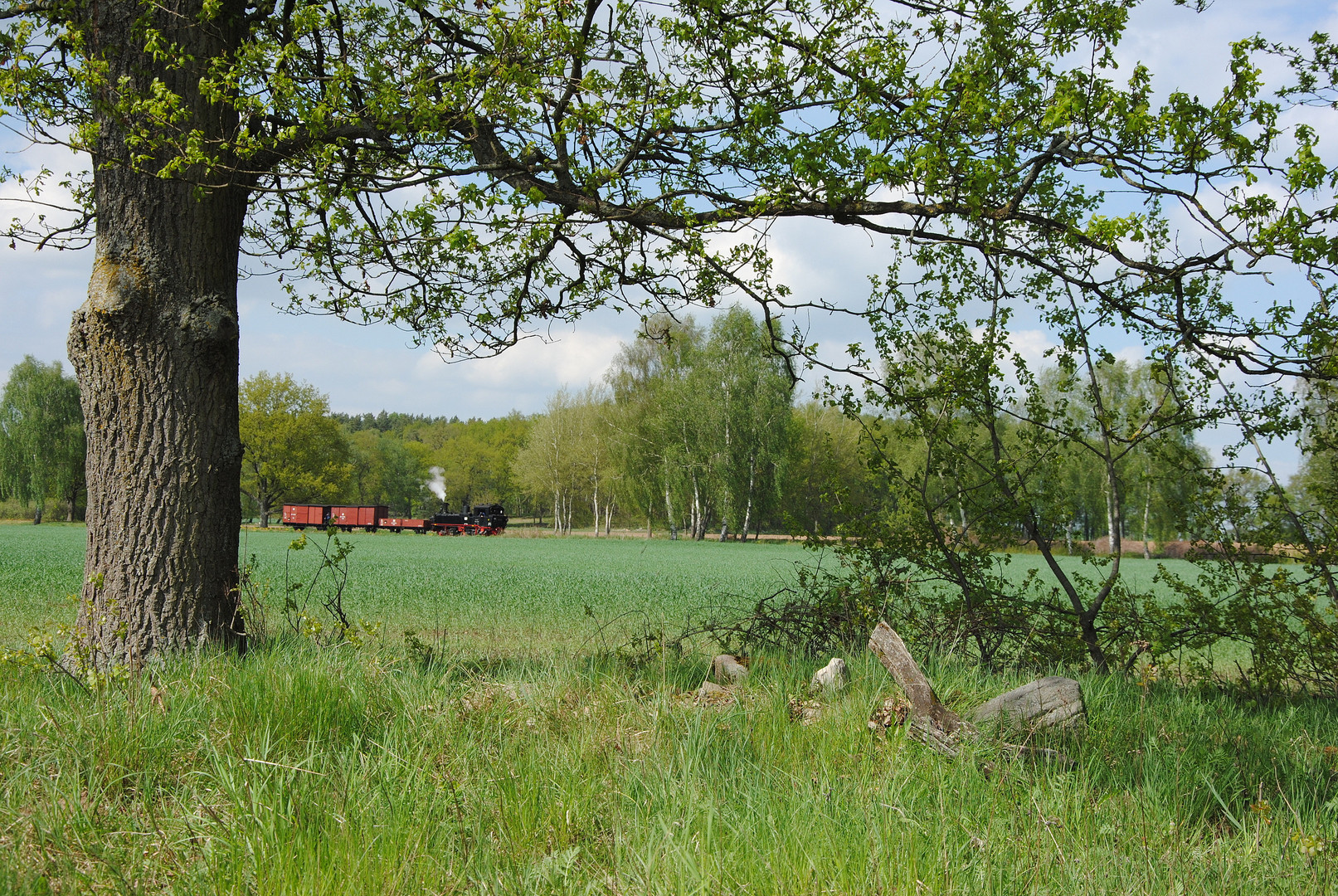 Nächmittäglicher Ng nach Lindenberg