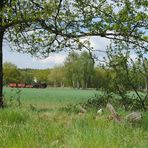 Nächmittäglicher Ng nach Lindenberg