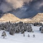 nächste schneefront 