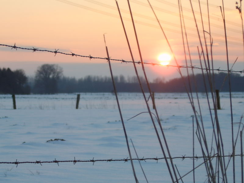 Nächste Woche soll es schon Schnee geben !?!