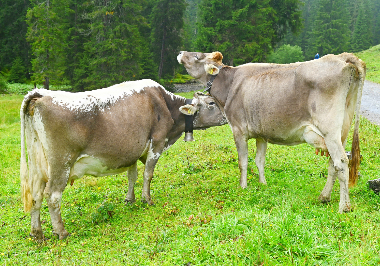 Nächstenliebe