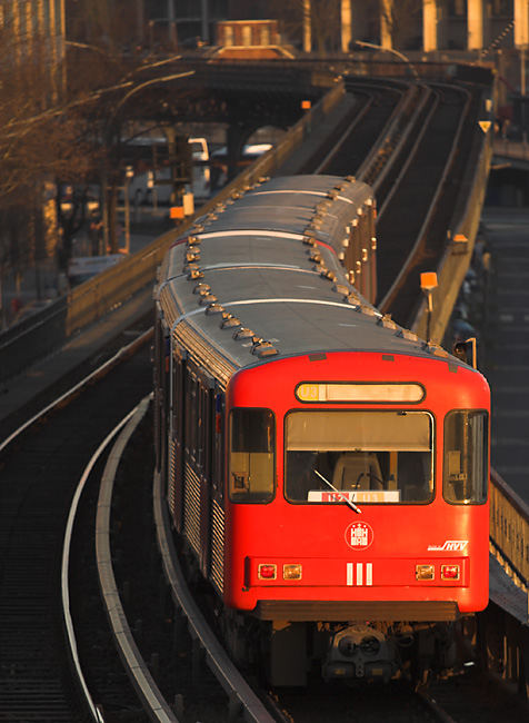 Nächster Halt: Baumwall