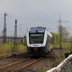 Nächster Halt: Gelsenkirchen Zoo