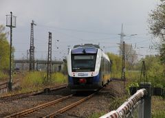 Nächster Halt: Gelsenkirchen Zoo