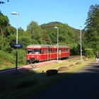 Nächster Halt: Moosbachtal