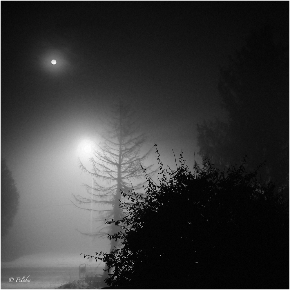 Nächster Vollmond Foto & Bild spezial, outdoor, nacht Bilder auf