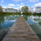 Nächstweiher bei Götzingen