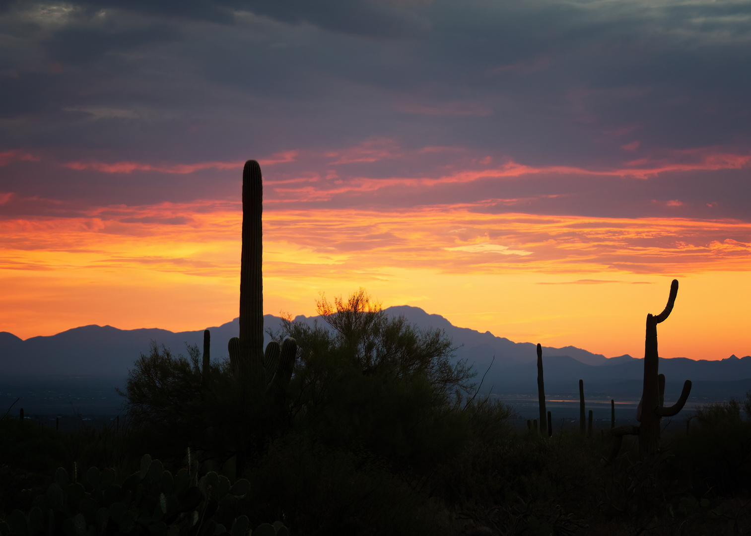 Nächte in der Stadt: Tucson