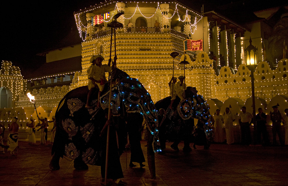 Nächtliche Elefantenprozession in Kandy