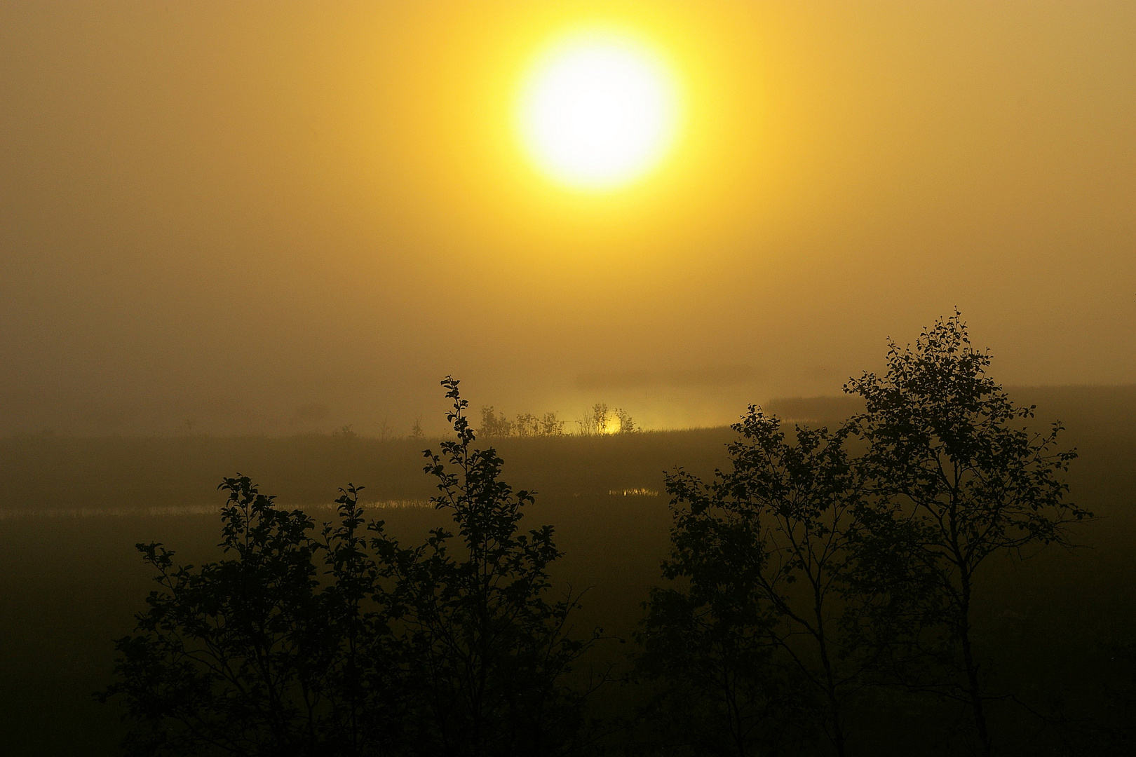 nächtliche Sonne in Nordland