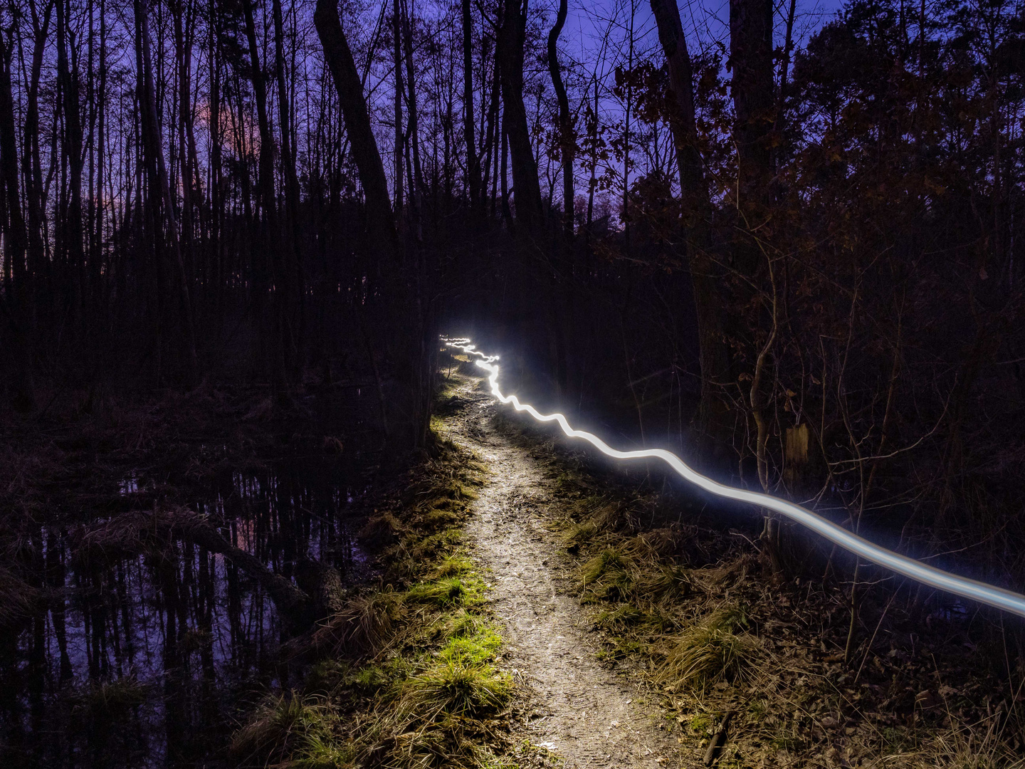 Nächtliche Wanderung durch das Moor