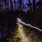 Nächtliche Wanderung durch das Moor