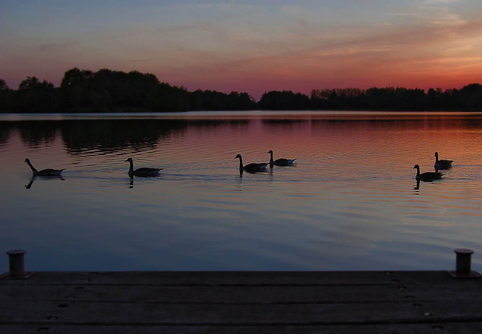 Nächtlicher Schwimmgang