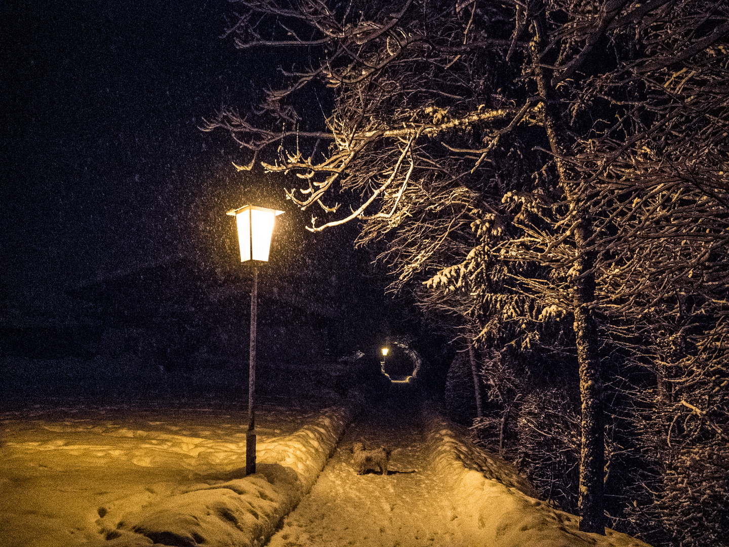 Nächtlicher Spaziergang