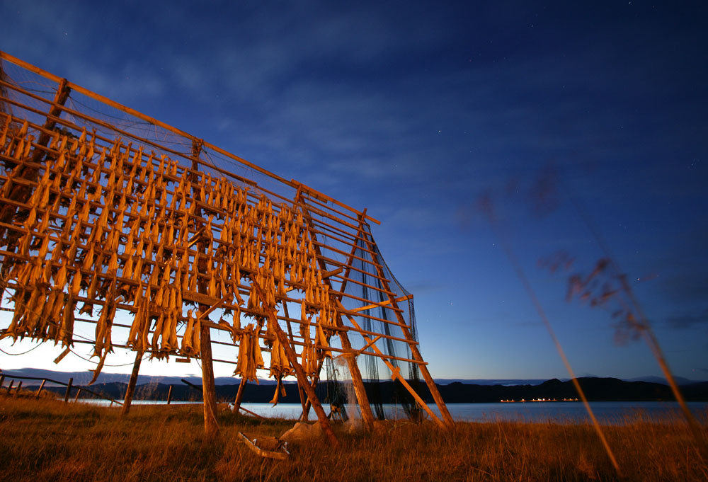 Nächtlicher Stockfisch am Nordkapp