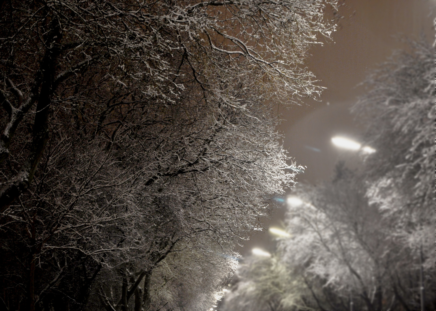 nächtlicher Wintereinbruch