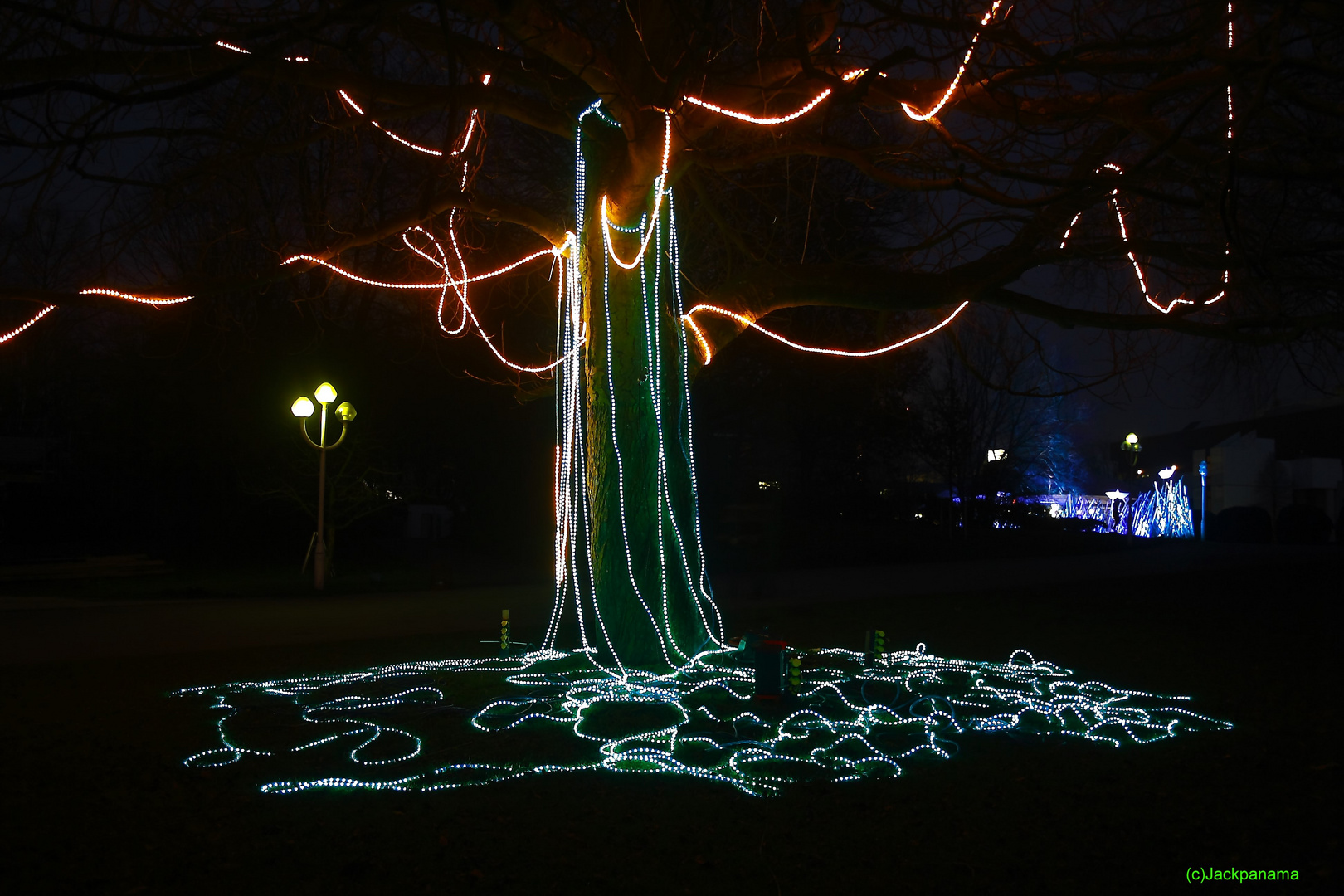 Nächtliches Parkleuchten in der Gruga in Essen