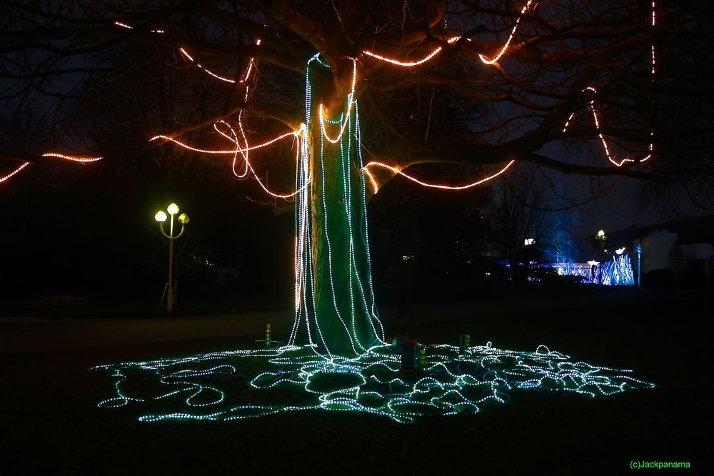 Nächtliches Parkleuchten in der Gruga in Essen