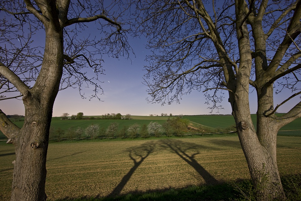 Nächtliches Schattenspiel