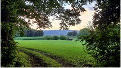 Nähe Altenburg, Blick hinüber zum Ottenberg