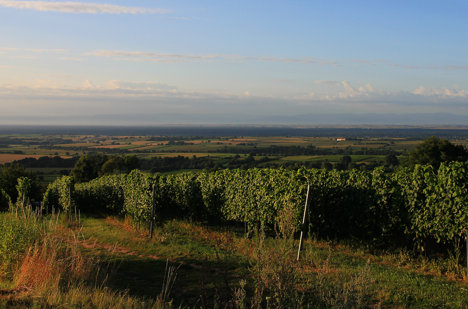 Nähe Bad Bergzabern Oberotterbach 1