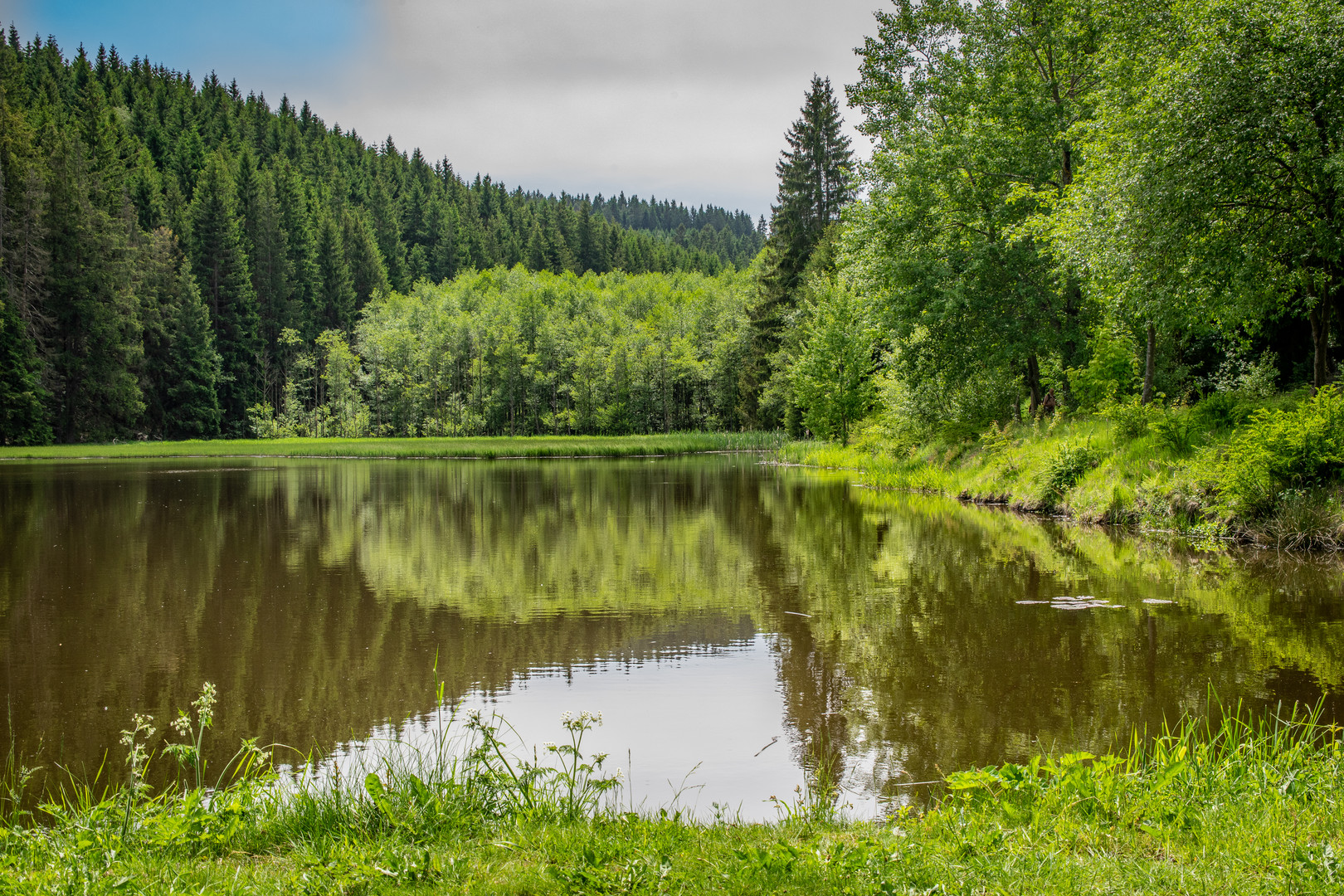 Nähe Bennekenstein II - Oberharz