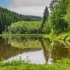 Nähe Bennekenstein II - Oberharz