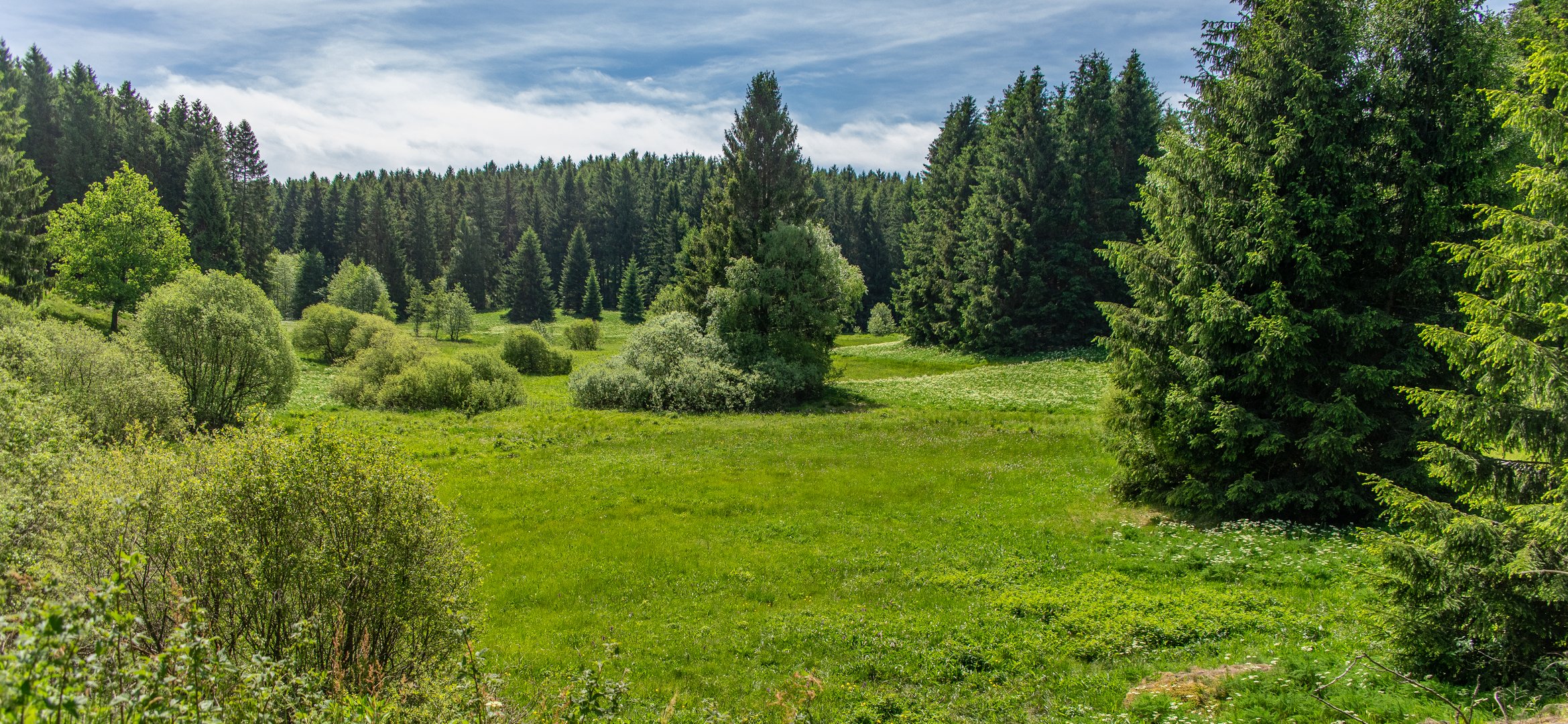 Nähe Bennekenstein IV - Oberharz