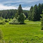 Nähe Bennekenstein IV - Oberharz