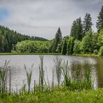 Nähe Bennekenstein IX - Oberharz