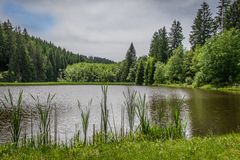 Nähe Bennekenstein IX - Oberharz