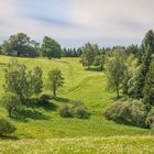 Nähe Bennekenstein VI - Oberharz