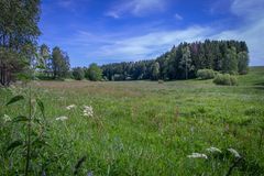 Nähe Bennekenstein VIII - Oberharz