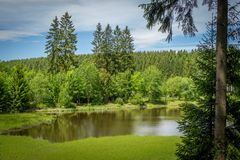 Nähe Bennekenstein XIV - Oberharz