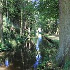 Nähe Campingplatz Baerenthal, Nordvogesen, Frankreich