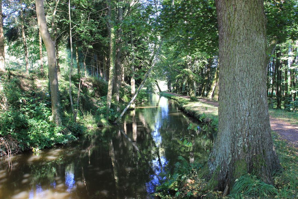 Nähe Campingplatz Baerenthal, Nordvogesen, Frankreich