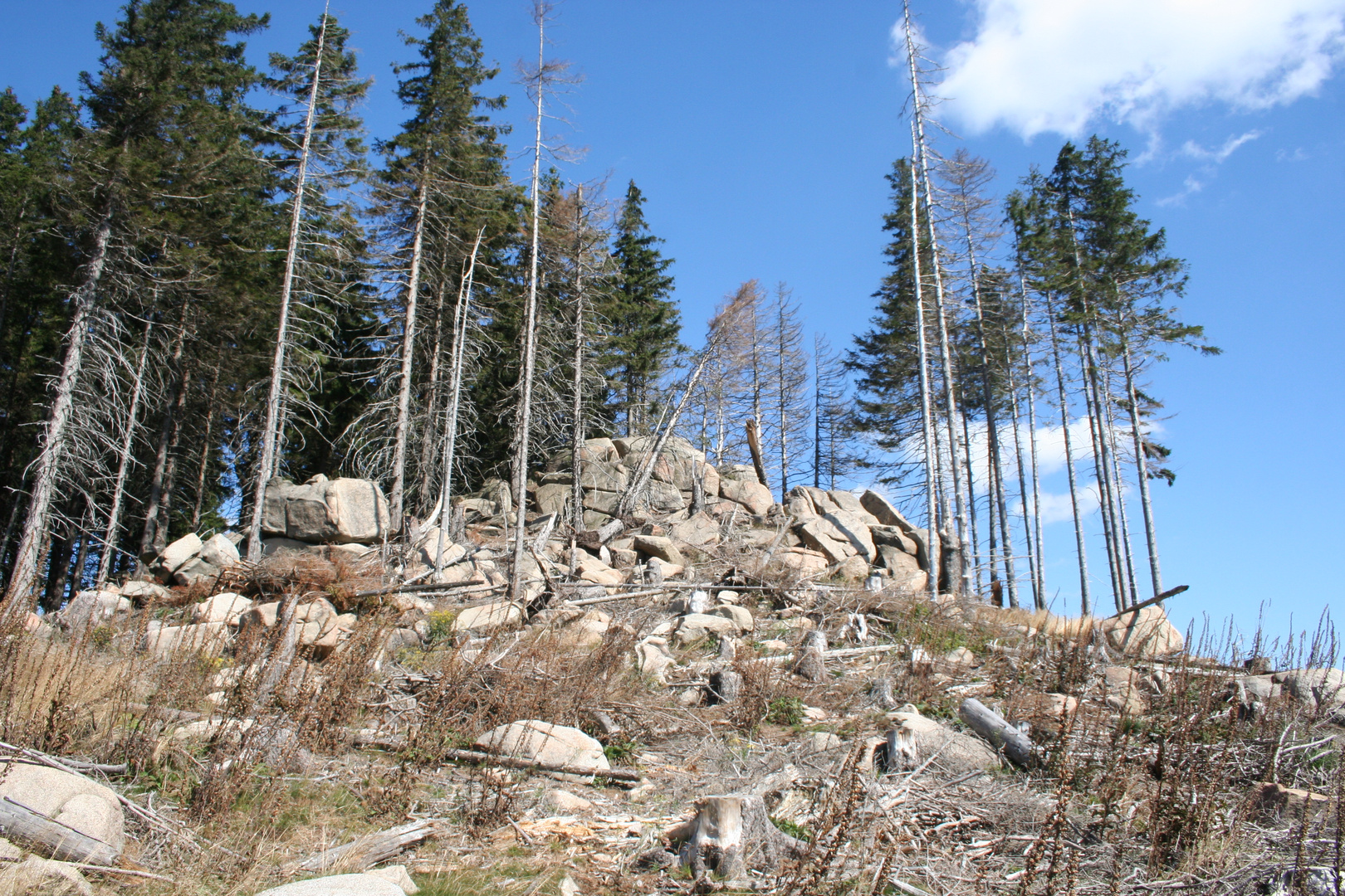 Nähe Ferdinandsstein