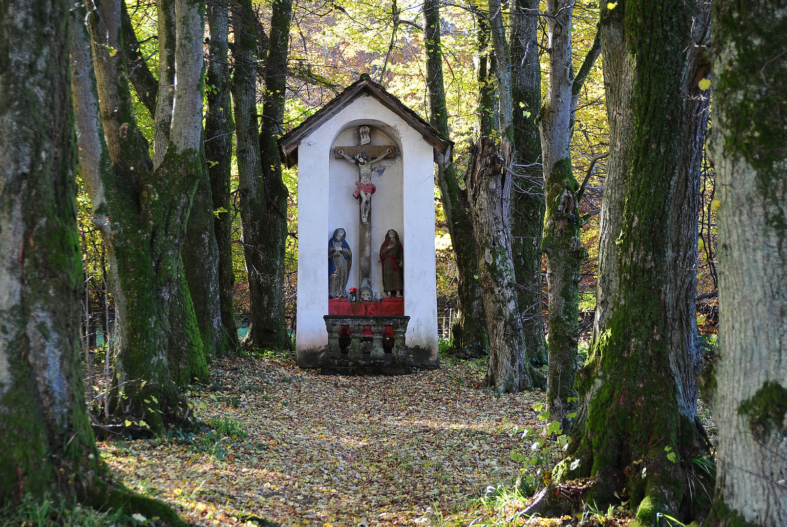 Nähe Frauenalb, beim Metzlinschwander Hof